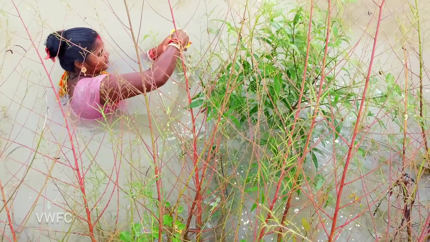 x  Amazing  Old Money saving Ball fishing  গ্রামের মহ