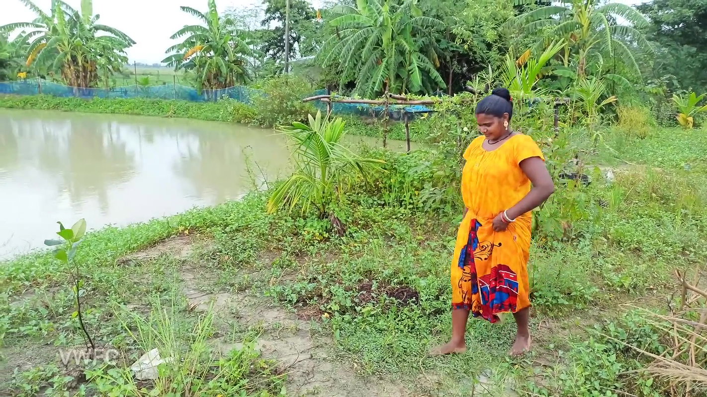 x  Amazing  Old Money saving Ball fishing  গ্রামের মহ