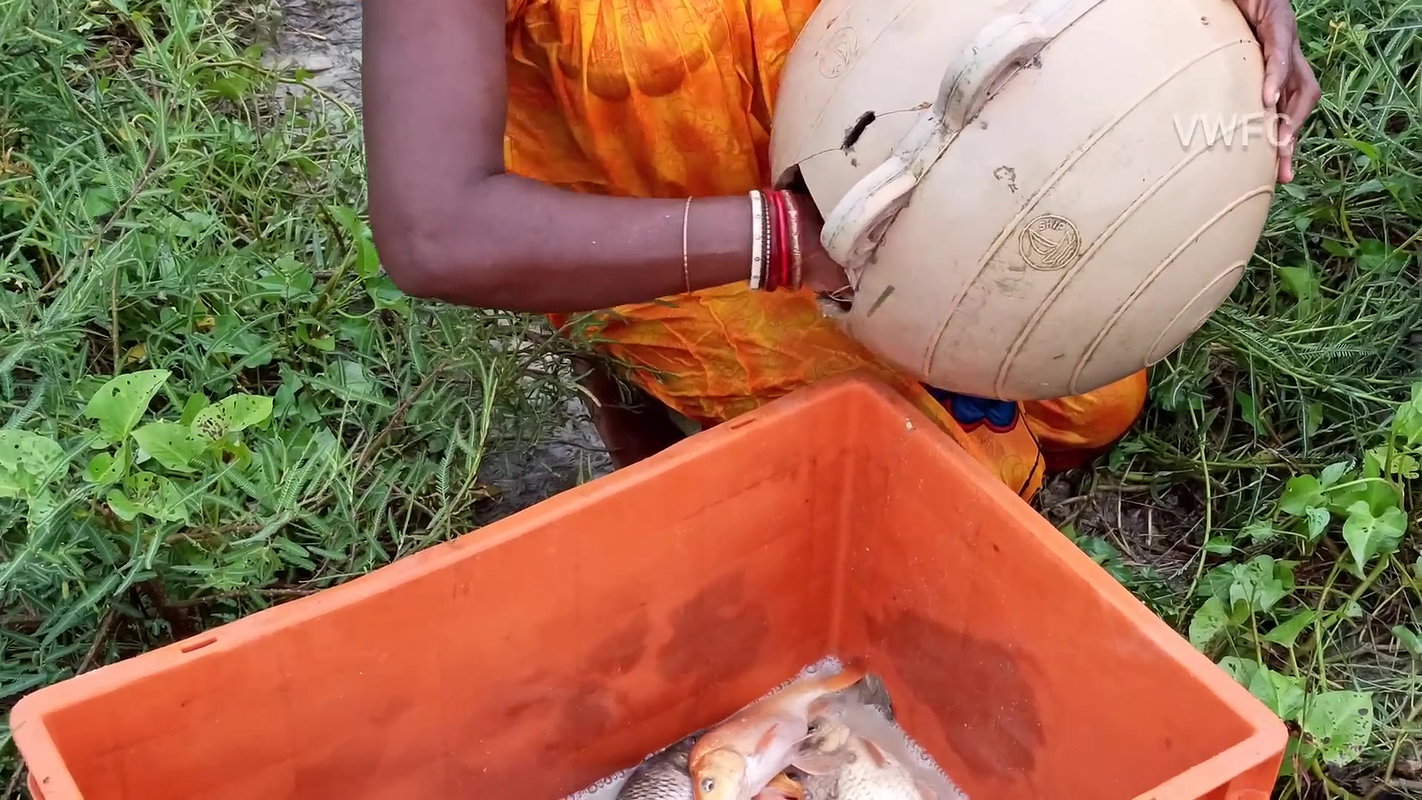 x  Amazing  Old Money saving Ball fishing  গ্রামের মহ