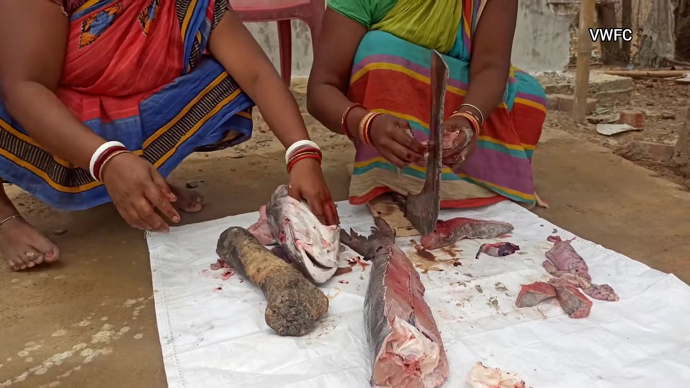 xAmazing Fish cutting skills    Village women cutti