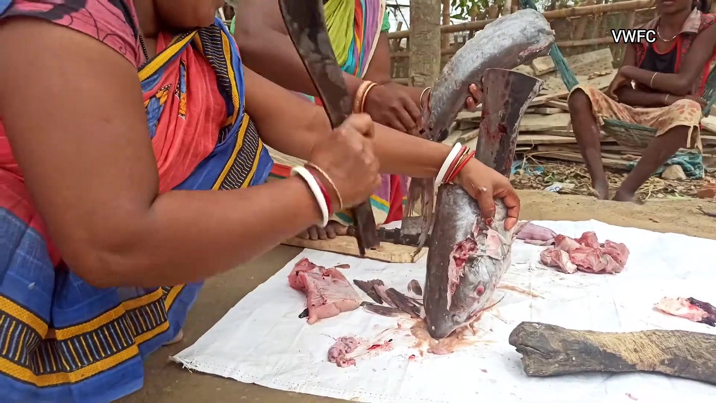 xAmazing Fish cutting skills    Village women cutti