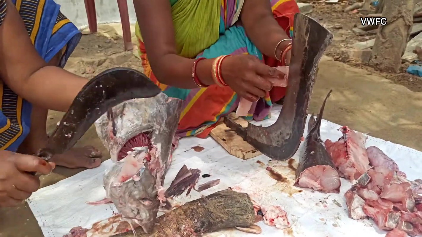 xAmazing Fish cutting skills    Village women cutti