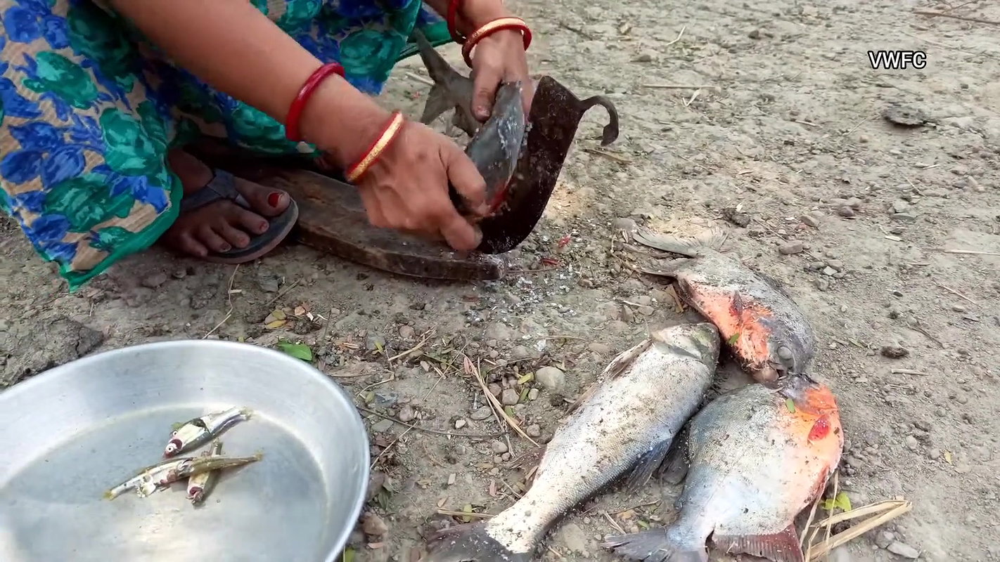 Amazing Fish Cutting Technique    Village Women cu