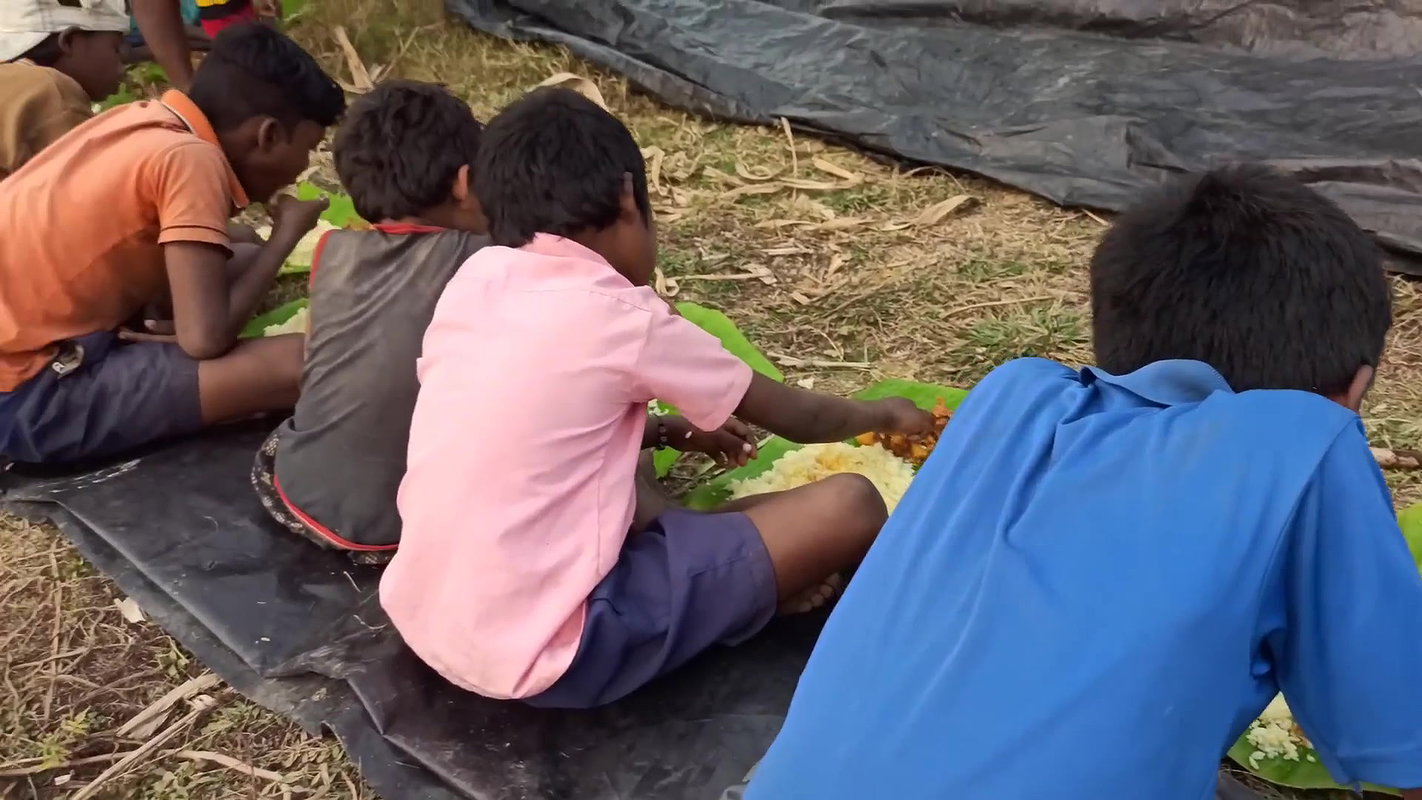 Amazing Fishing And Cooking for Villagers    Fishi