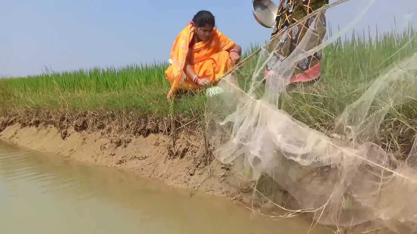 Amazing fishing by village women   Unique fishing