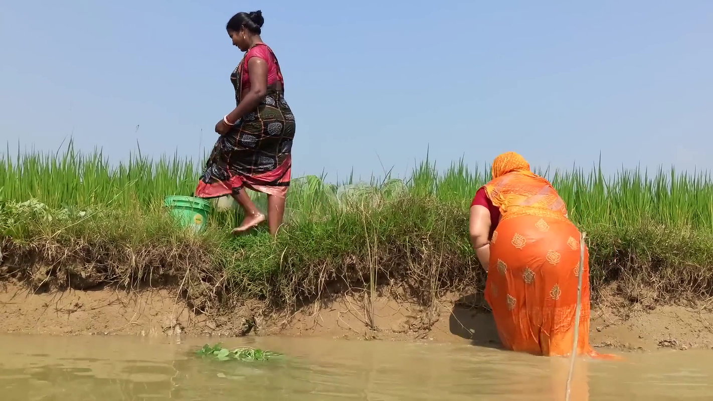 Amazing fishing by village women   Unique fishing