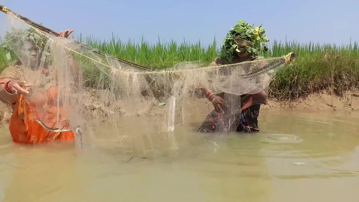 Amazing fishing by village women   Unique fishing