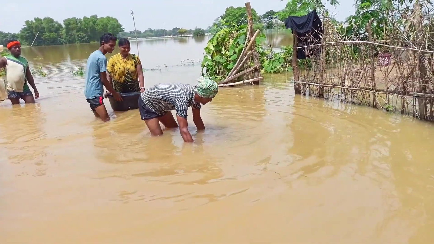 Amazing Fishing in Village Flood    Village Women