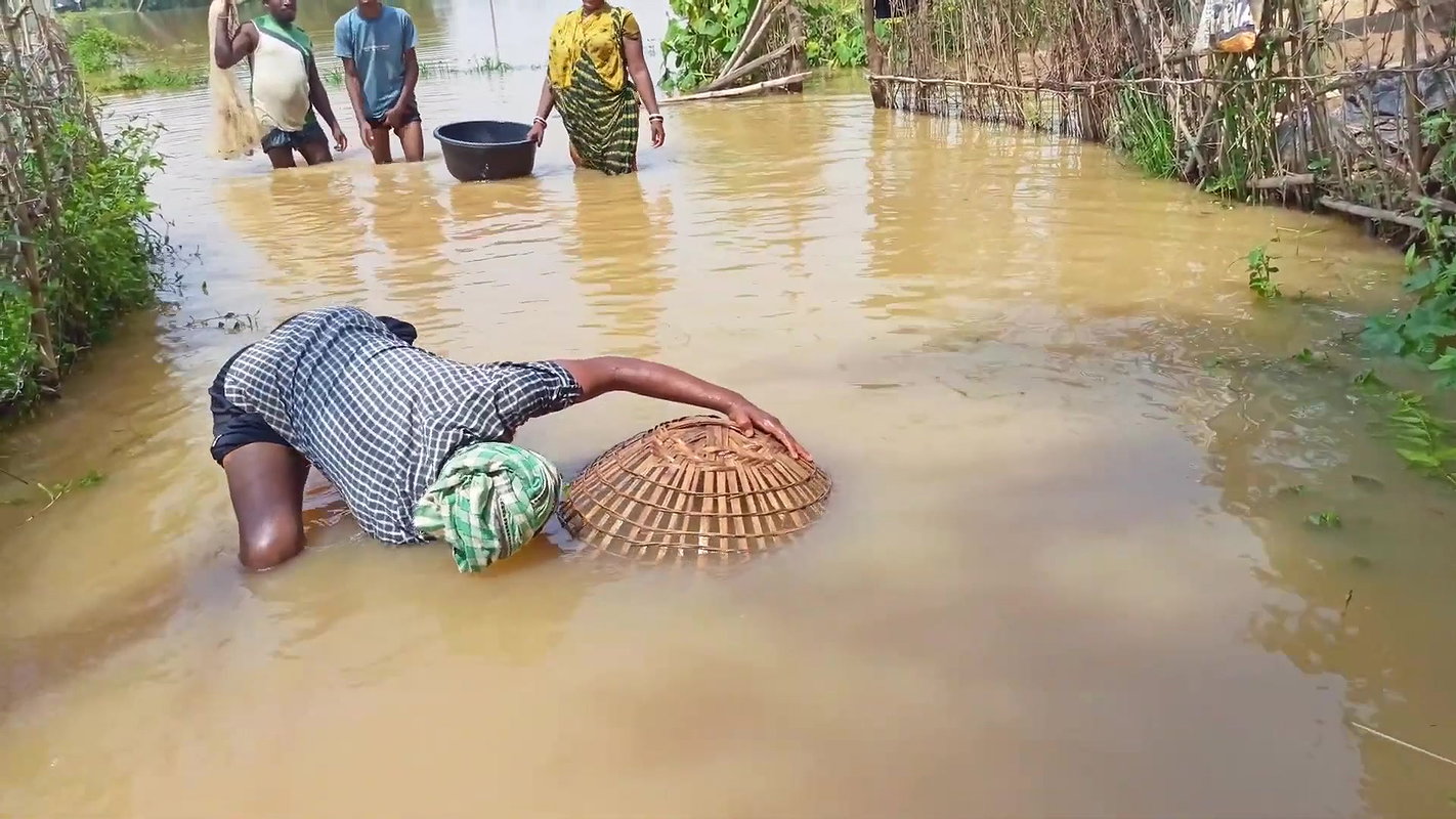 Amazing Fishing in Village Flood    Village Women