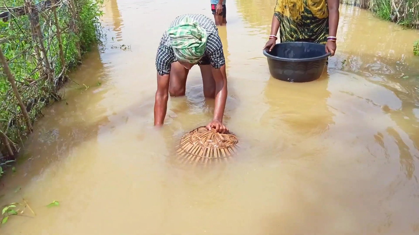 Amazing Fishing in Village Flood    Village Women