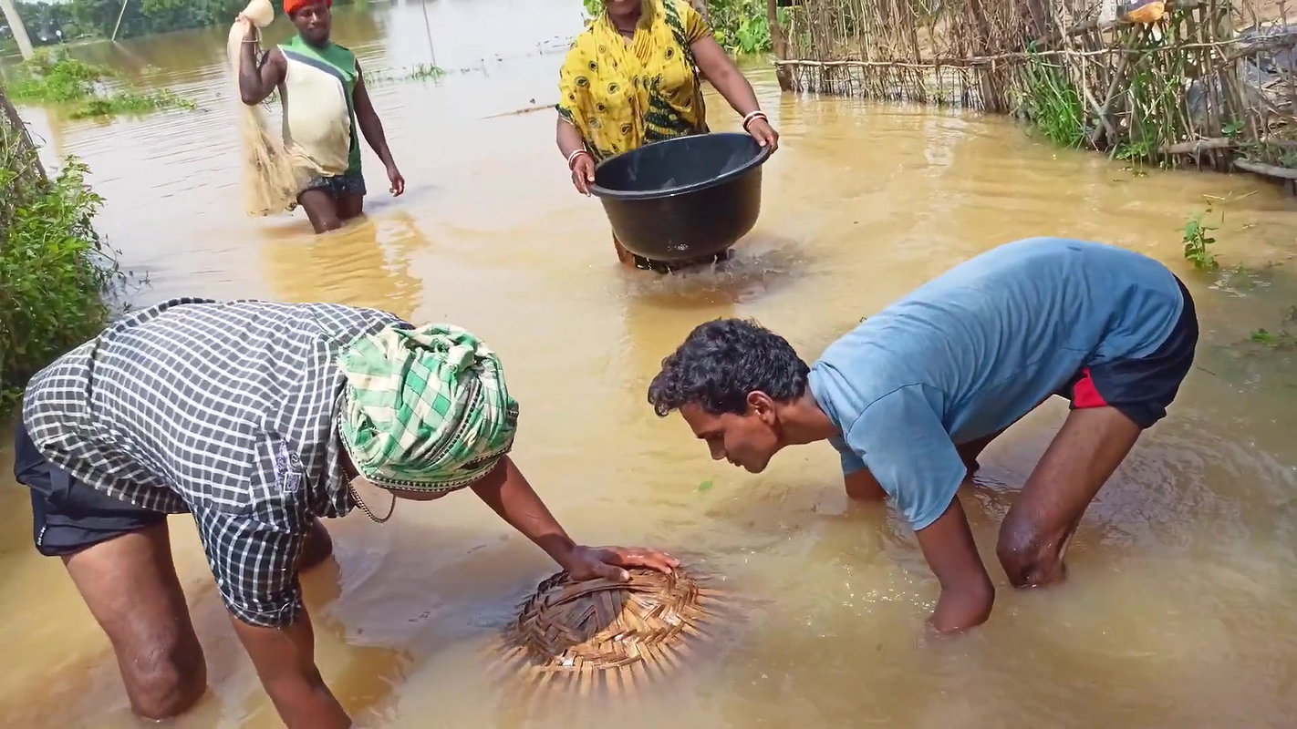 Amazing Fishing in Village Flood    Village Women