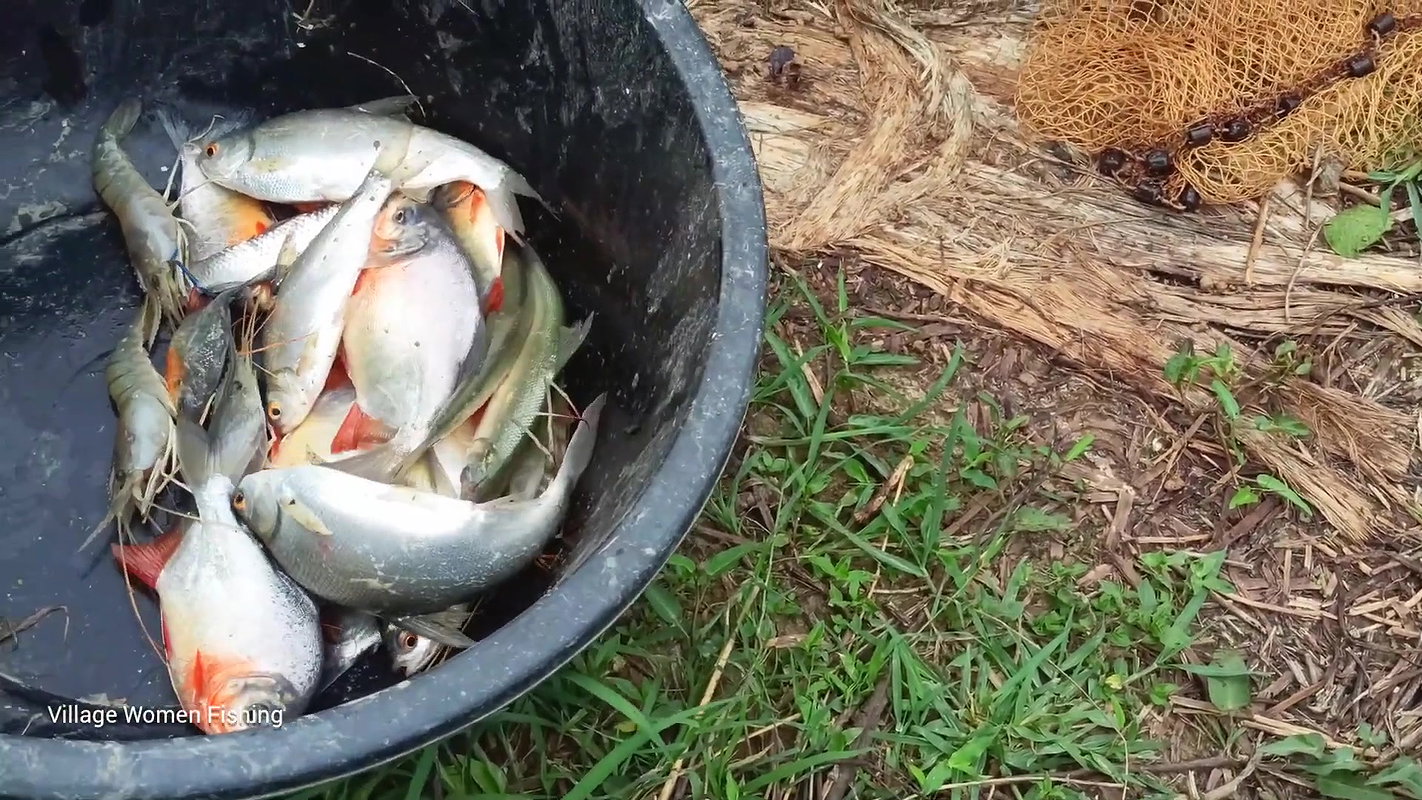 Amazing fishing video বাংলাদেশী বৌদি আশ্চর্যজনক গ্