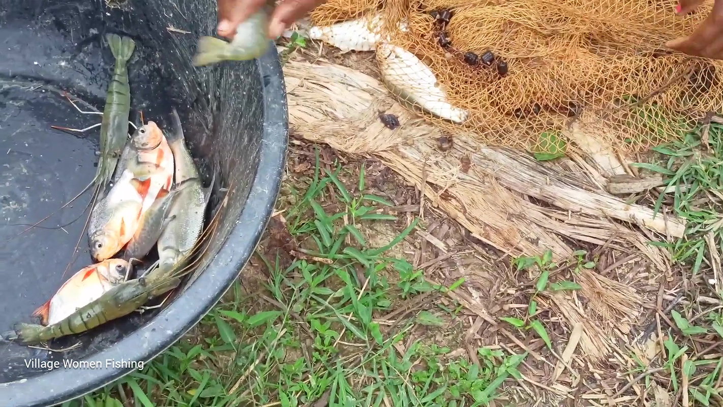 Amazing fishing video বাংলাদেশী বৌদি আশ্চর্যজনক গ্