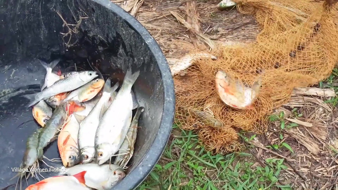 Amazing fishing video বাংলাদেশী বৌদি আশ্চর্যজনক গ্