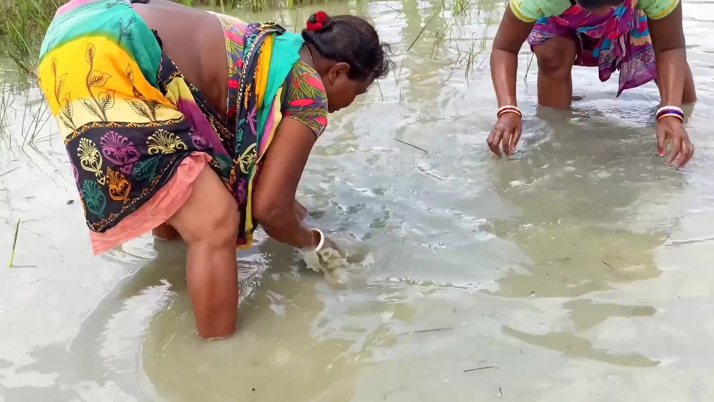 Amazing Hand Fishing by Village woman   Village wo