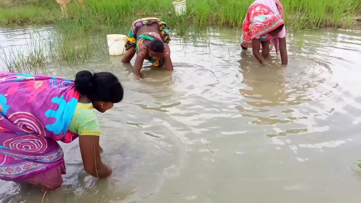 Amazing Hand Fishing by Village woman   Village wo