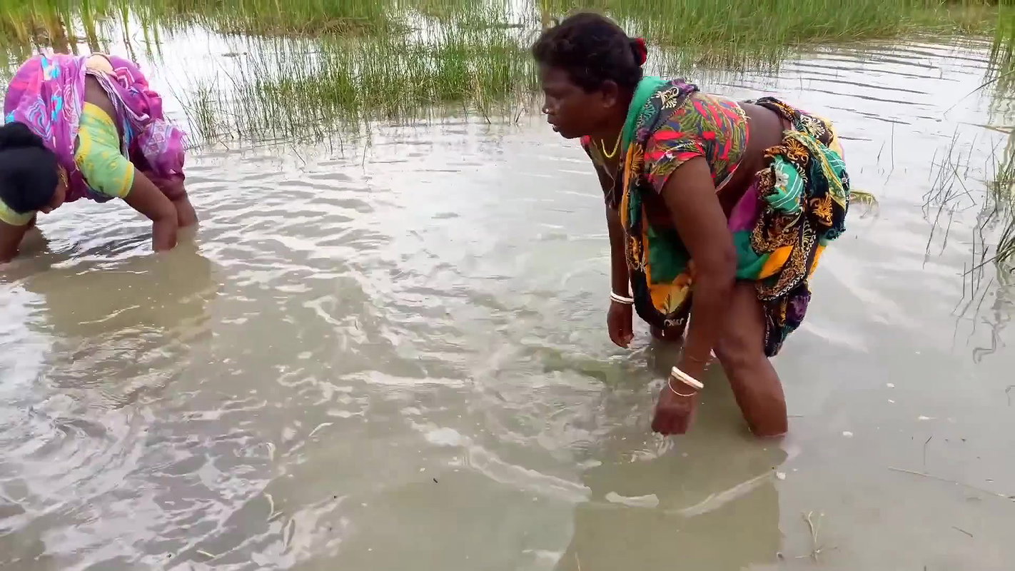 Amazing Hand Fishing by Village woman   Village wo