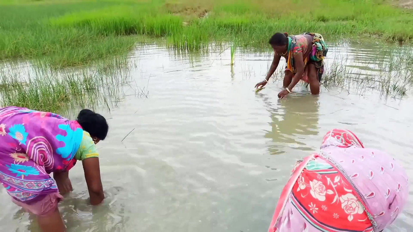 Amazing Hand Fishing by Village woman   Village wo
