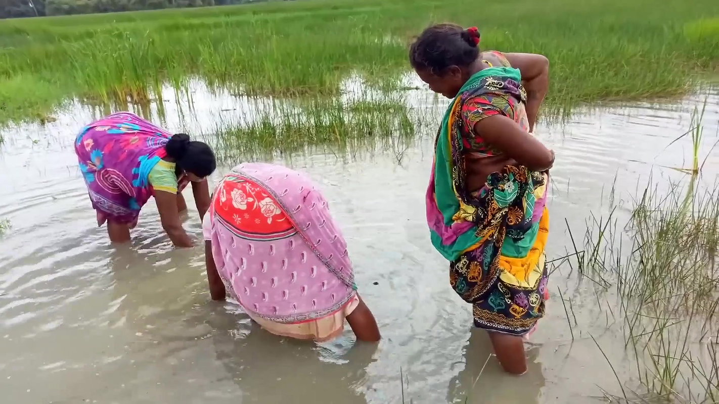Amazing Hand Fishing by Village woman   Village wo