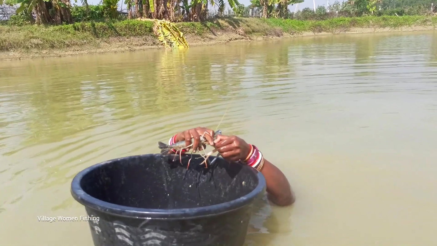 Amazing Hand Fishing by Village women   Unique vil