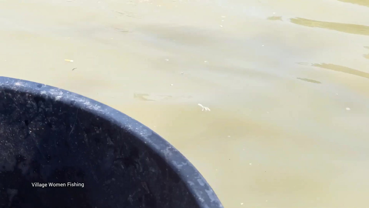 Amazing Hand Fishing by Village women   Unique vil