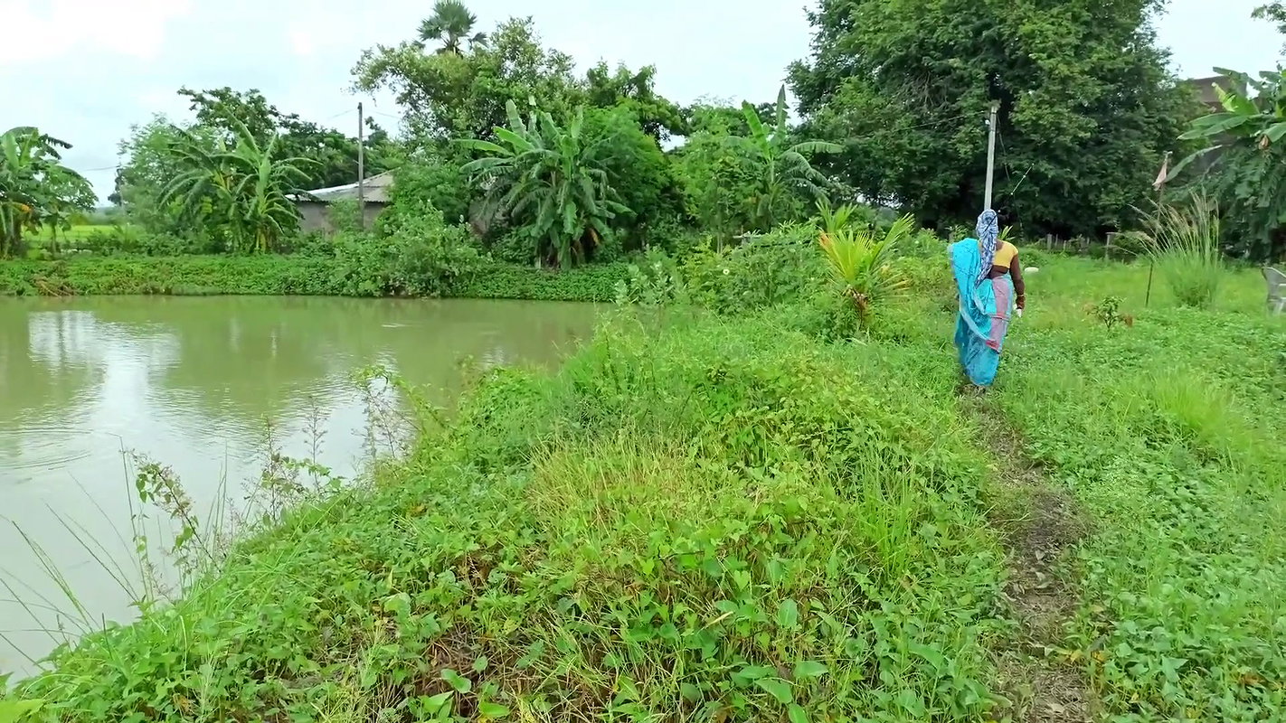 Amazing Hook Fishing in Rain    Village women fish