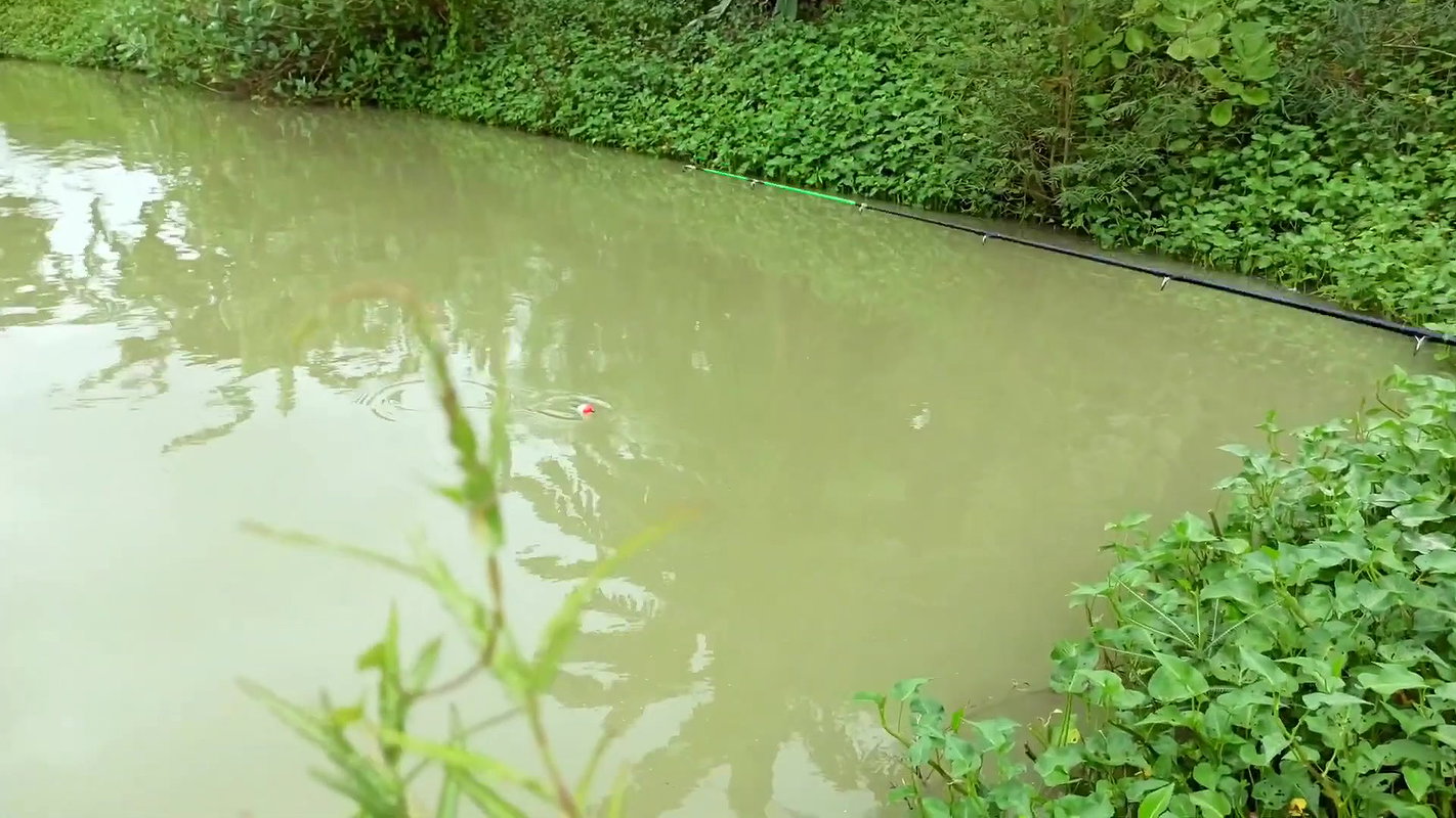Amazing Hook Fishing in Rain    Village women fish