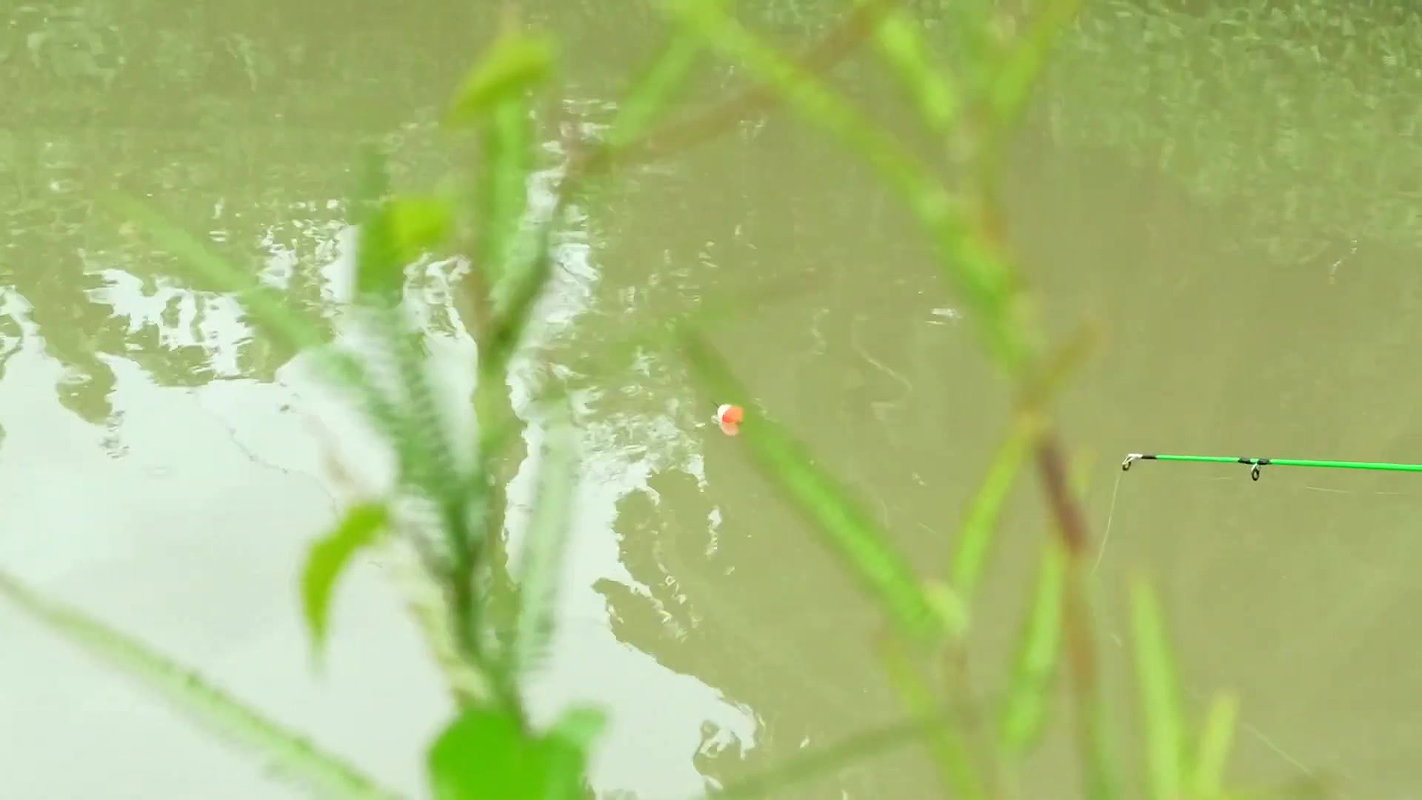 Amazing Hook Fishing in Rain    Village women fish