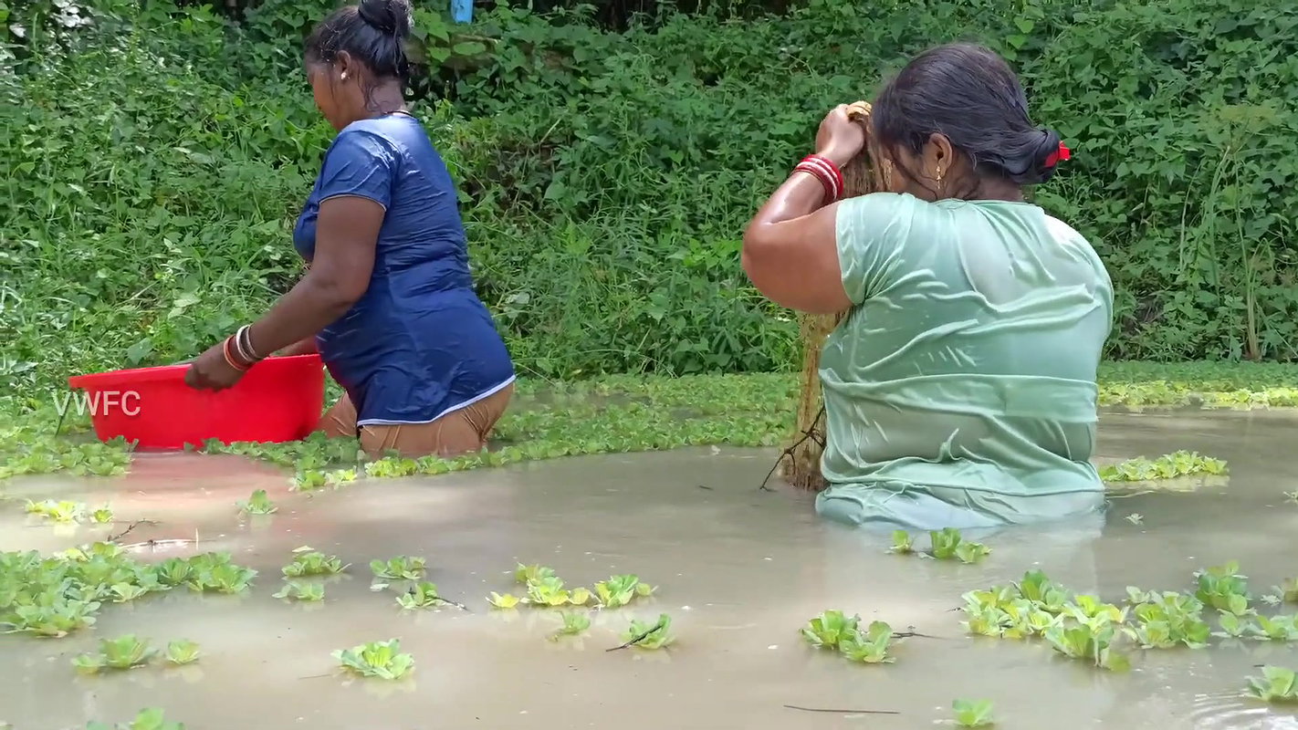 Amazing Indian Women fishing video    Village wome