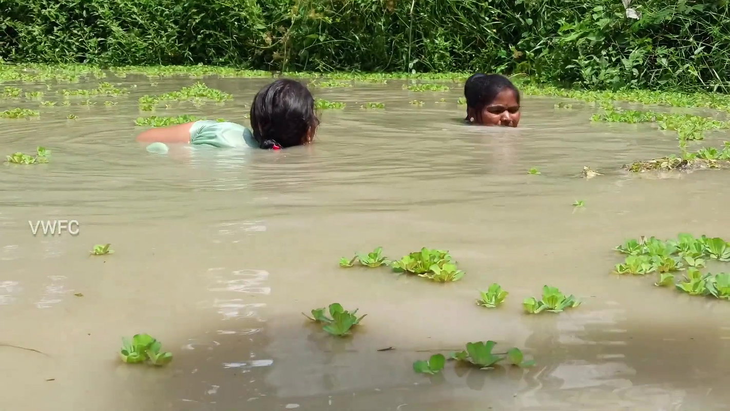 Amazing Indian Women fishing video    Village wome