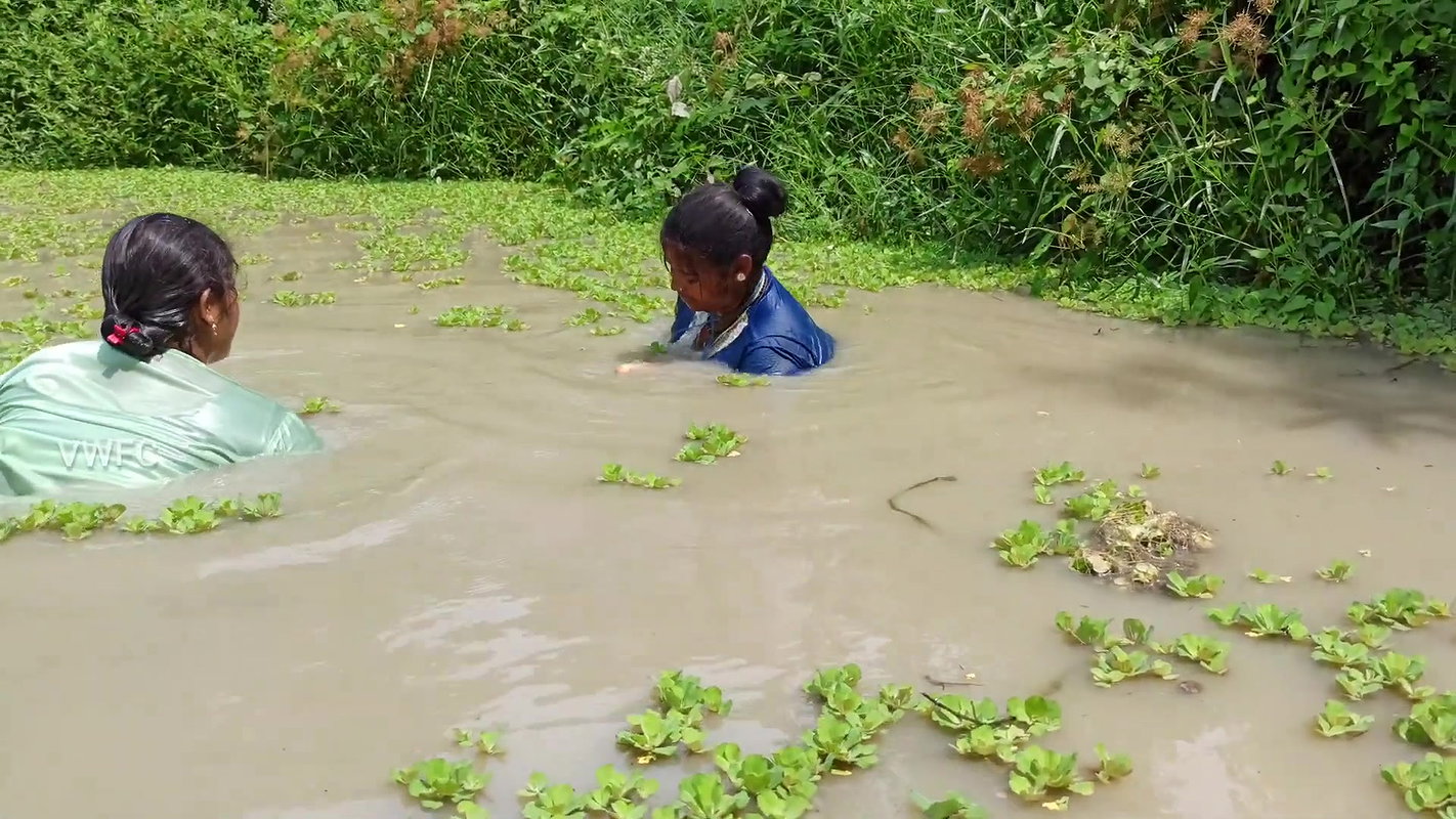 Amazing Indian Women fishing video    Village wome