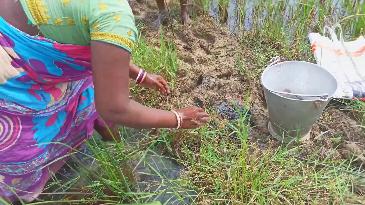 Amazing King Crab Catching technique with Iron Hoo