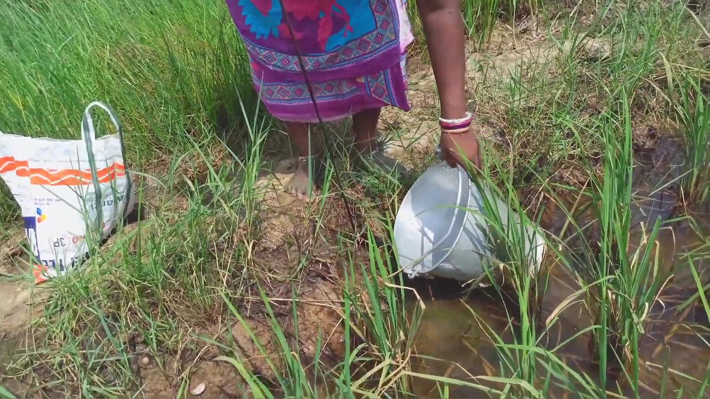Amazing King Crab Catching technique with Iron Hoo