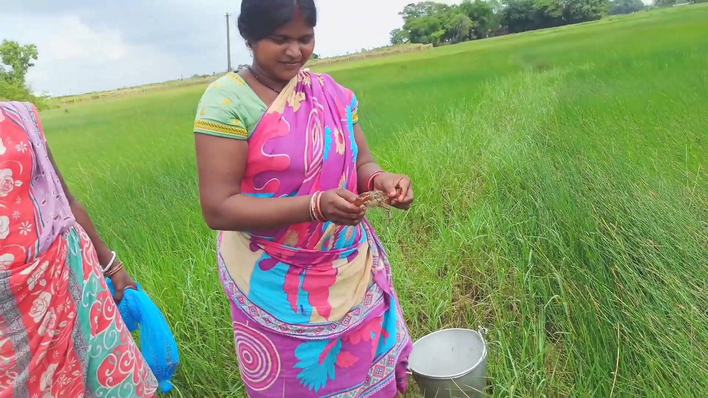 Amazing King Crab Catching technique with Iron Hoo