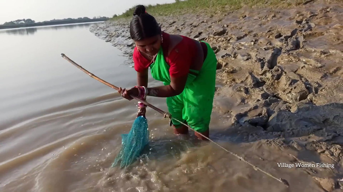 Amazing king mud crab catch by village women   Sea