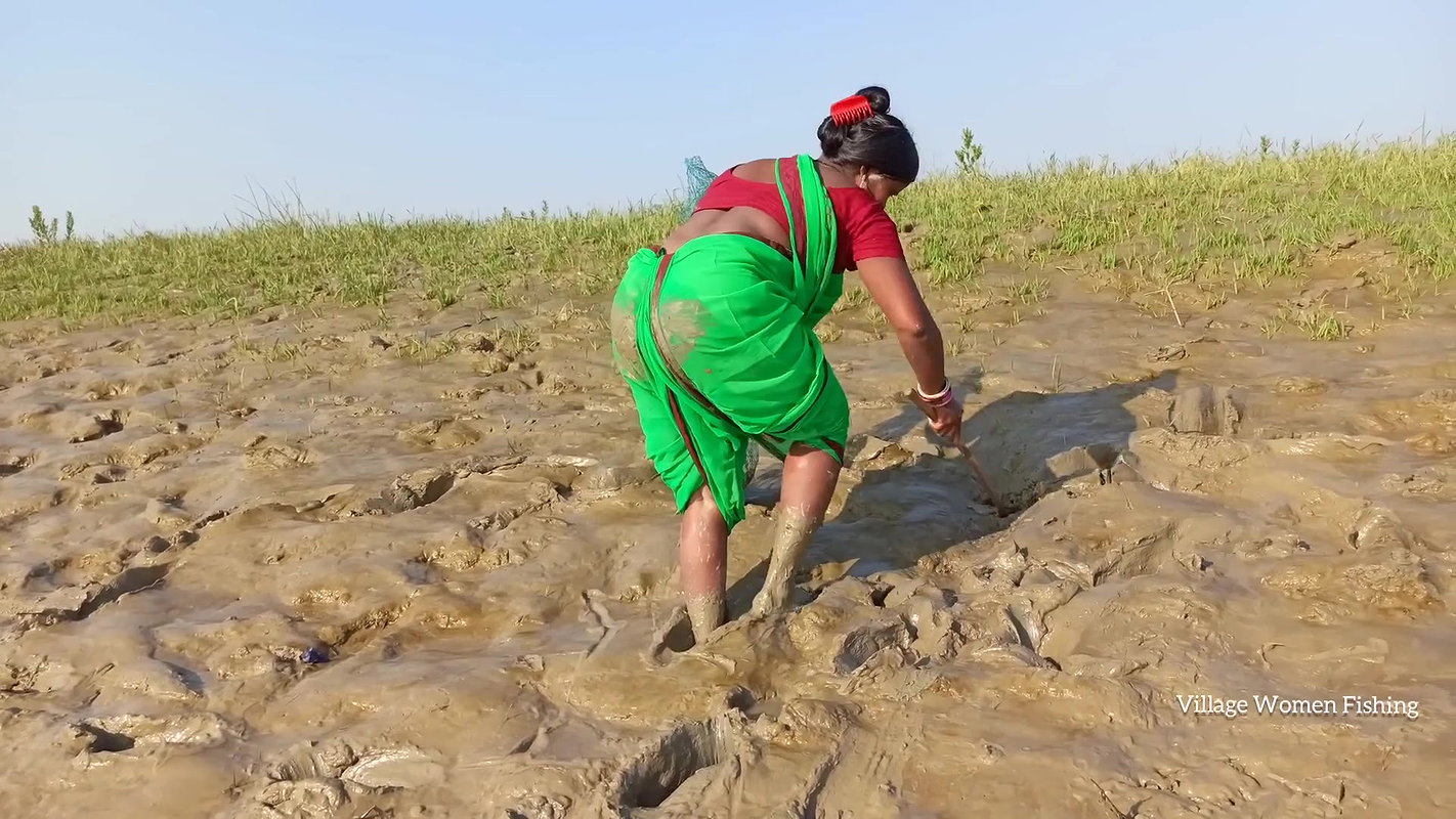 Amazing king mud crab catch by village women   Sea