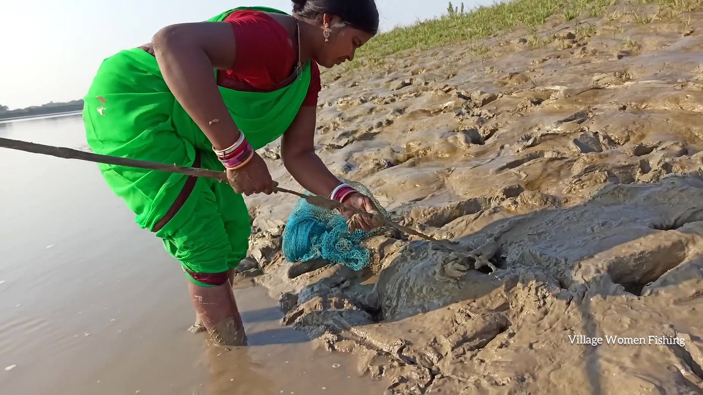 Amazing king mud crab catch by village women   Sea