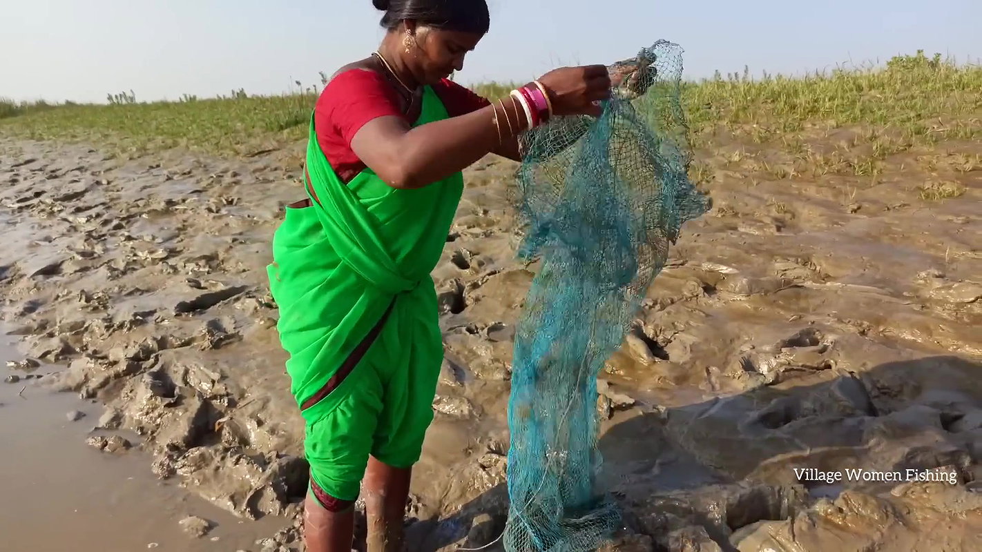 Amazing king mud crab catch by village women   Sea