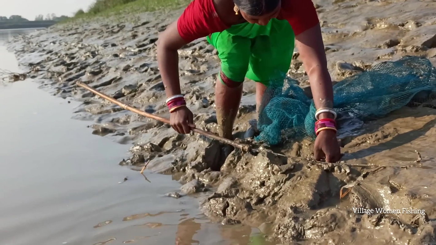 Amazing king mud crab catch by village women   Sea