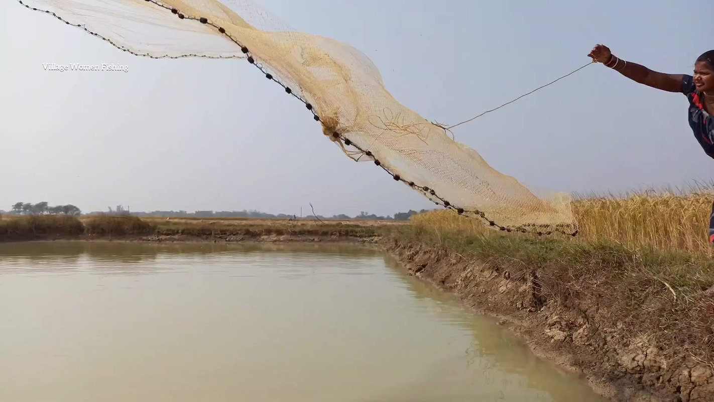 Amazing Lady fishing in village with bare hand and
