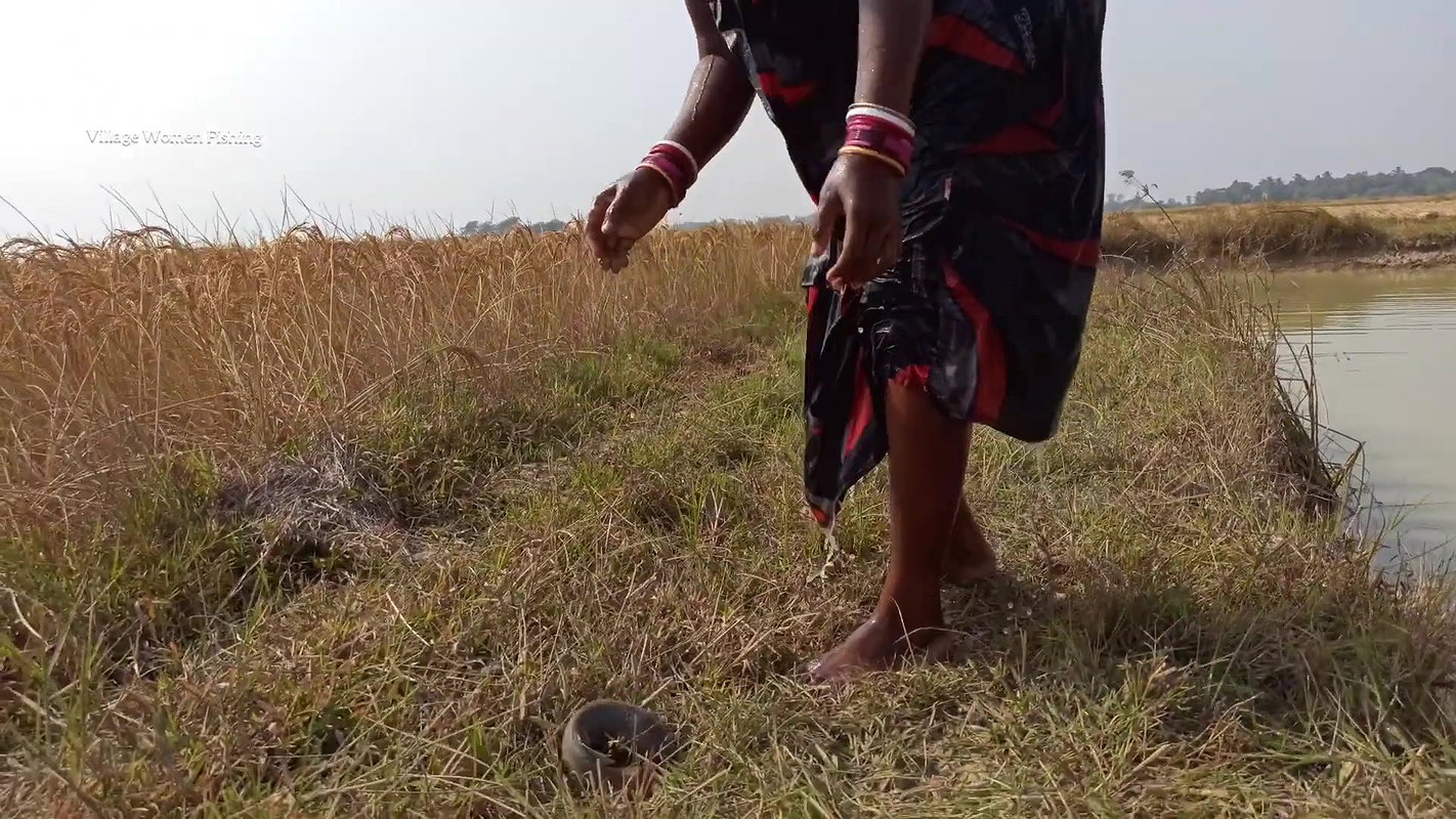 Amazing Lady fishing in village with bare hand and