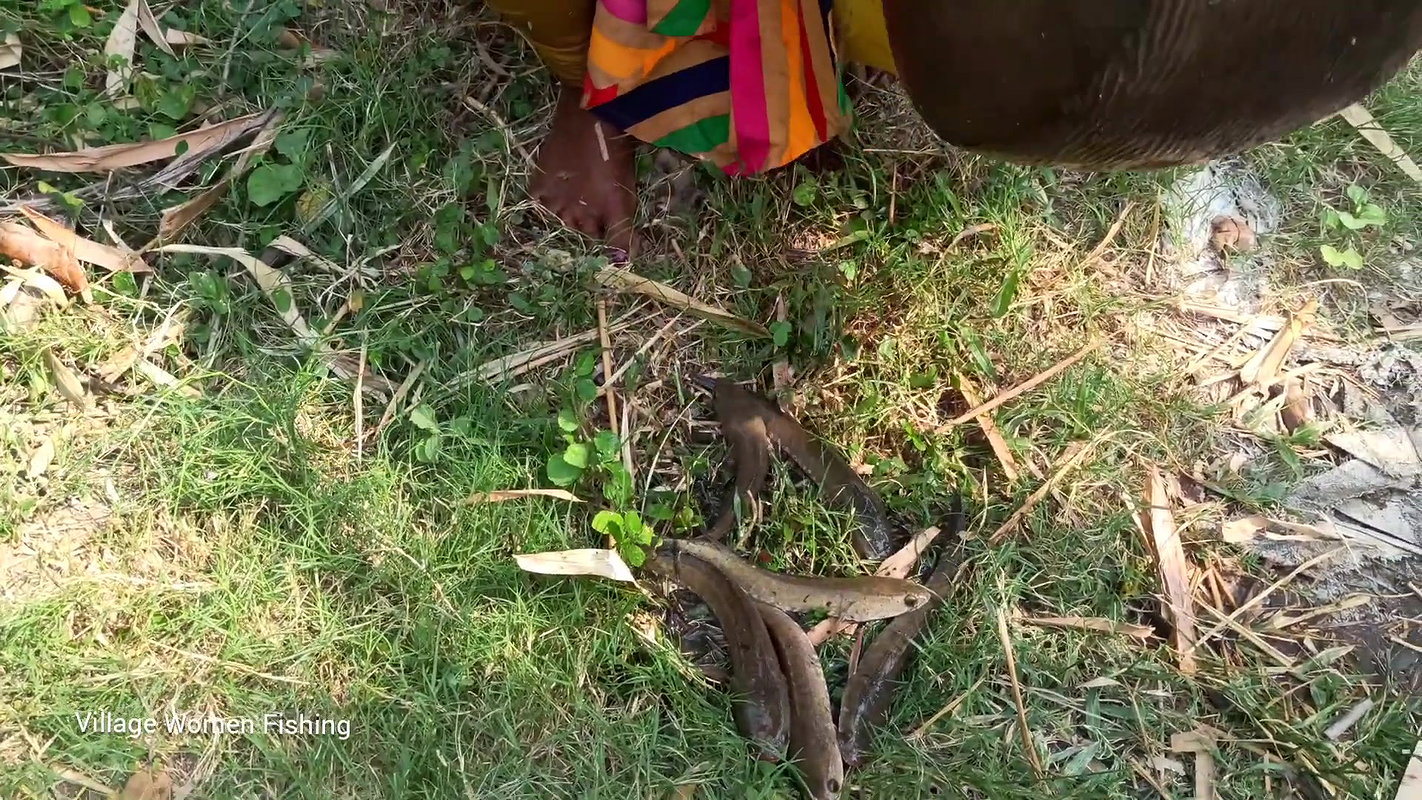 Amazing Matka Fishing by village women   Mouni fis