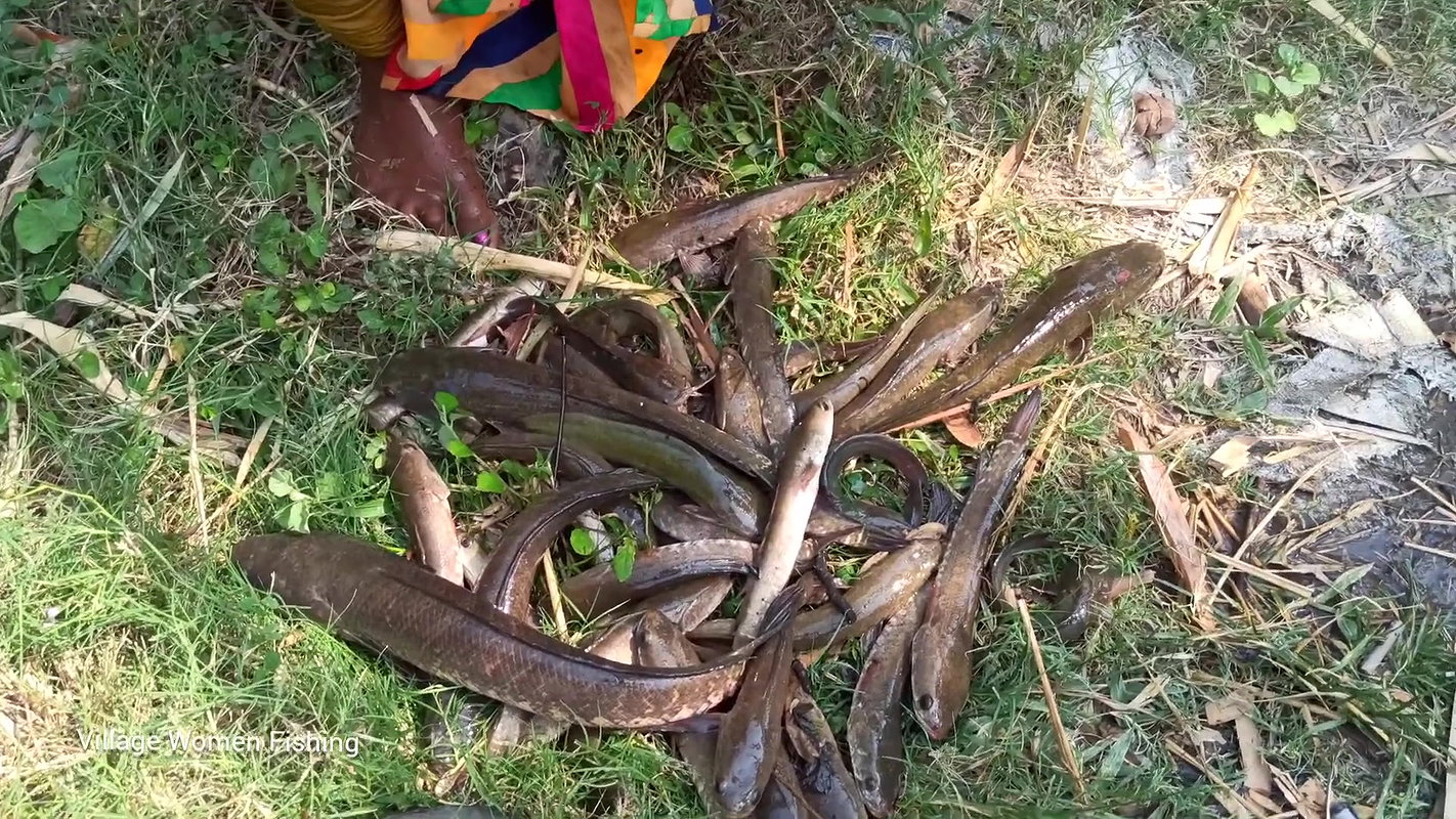 Amazing Matka Fishing by village women   Mouni fis