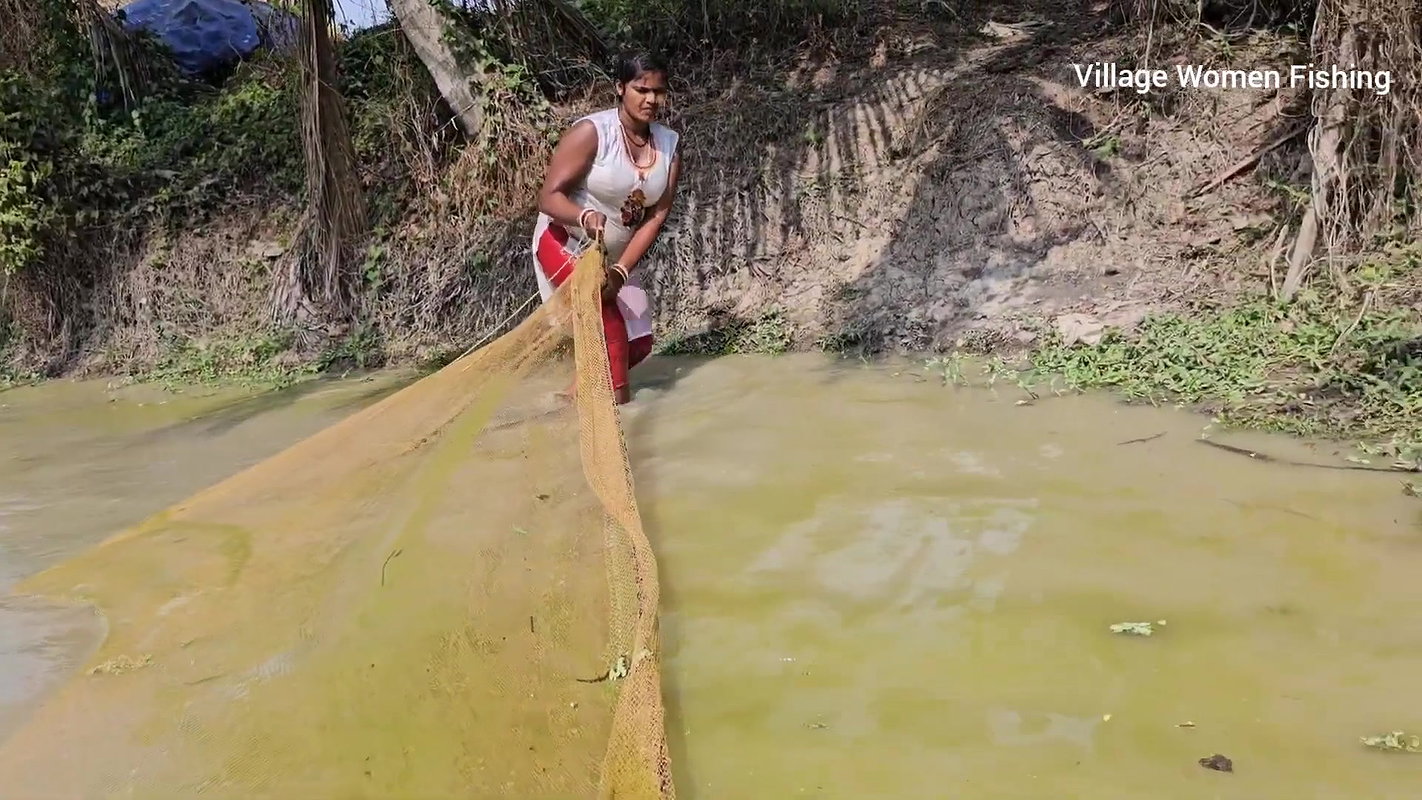 Amazing Mouni Net Fishing in Muddy Water    Big Ca