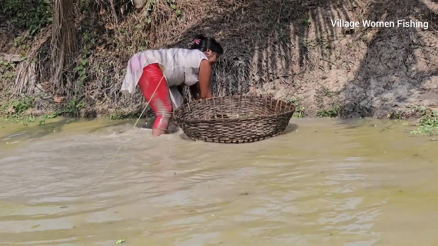 Amazing Mouni Net Fishing in Muddy Water    Big Ca