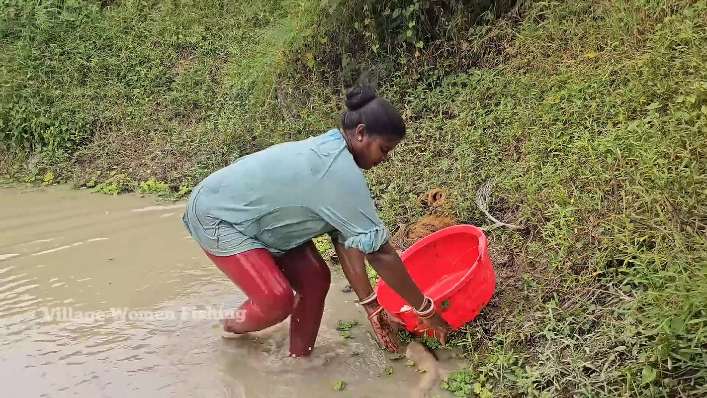 Amazing Mouni Net Fishing video for Big Carp Fishe
