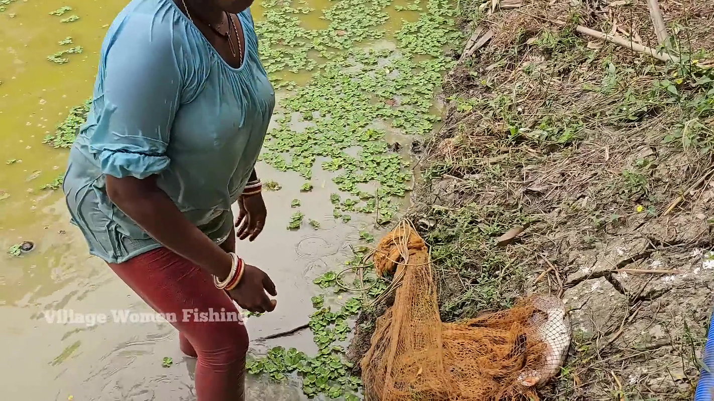 Amazing Mouni Net Fishing video for Big Carp Fishe