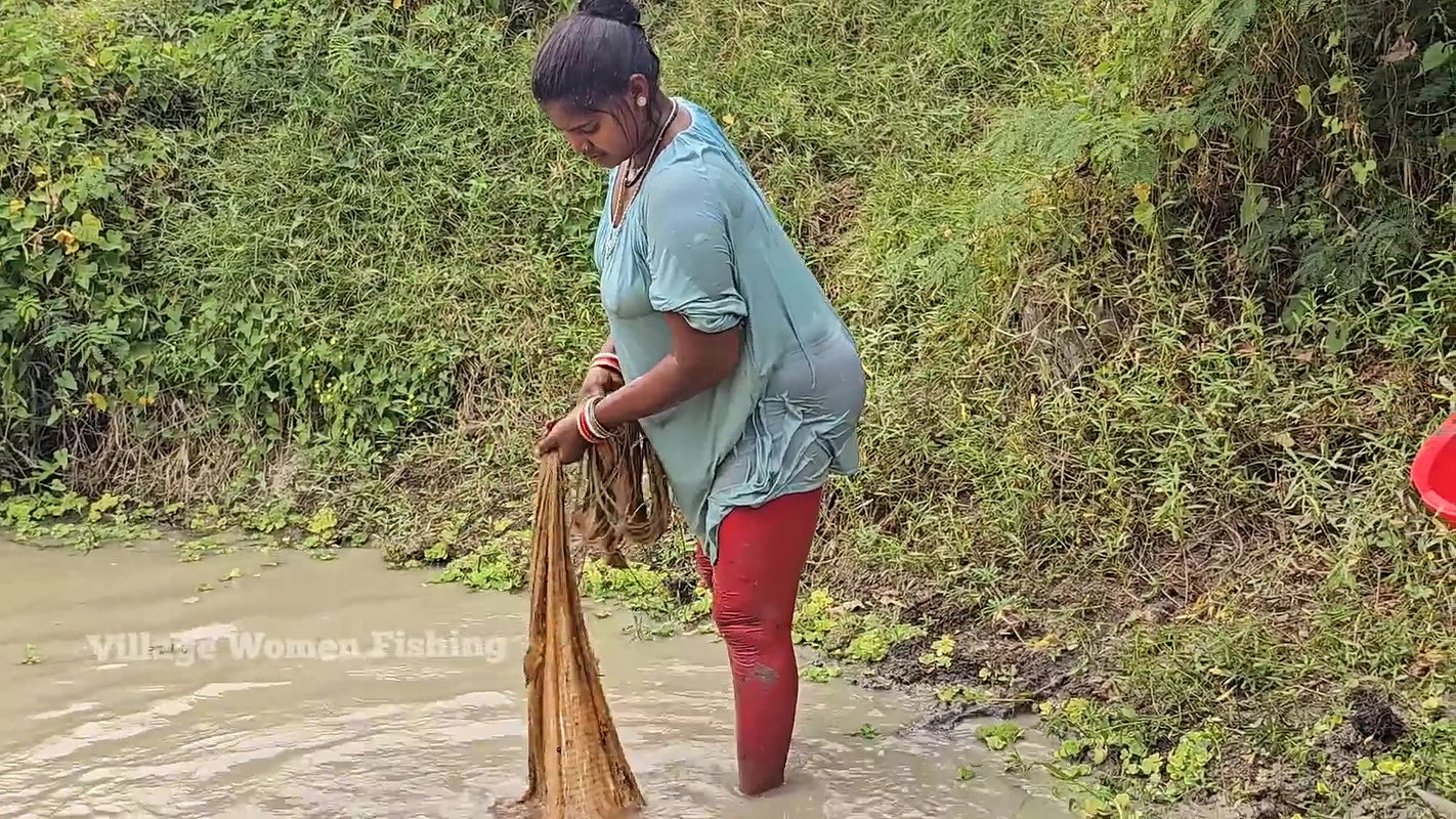 Amazing Mouni Net Fishing video for Big Carp Fishe