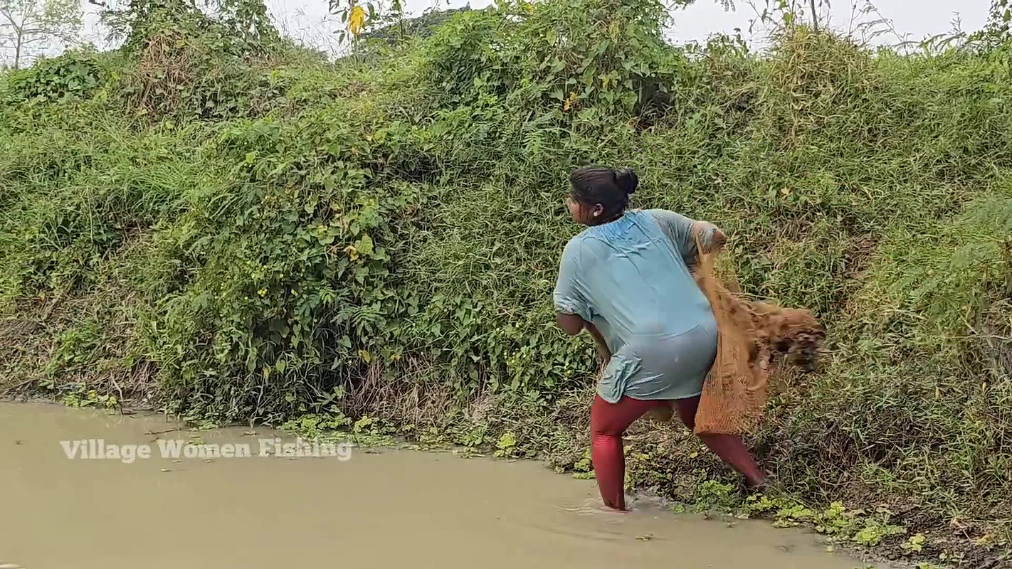 Amazing Mouni Net Fishing video for Big Carp Fishe