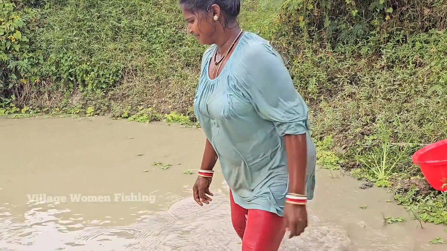 Amazing Mouni Net Fishing video for Big Carp Fishe
